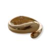 Brazalete Archernar
