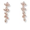Aretes Vaga