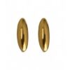 Aretes Salm