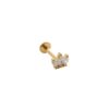 Piercing Parumleo